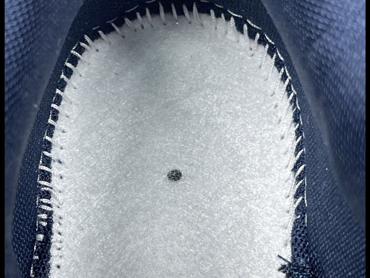 AIR MAX 95 x LEVI'S BLUE
