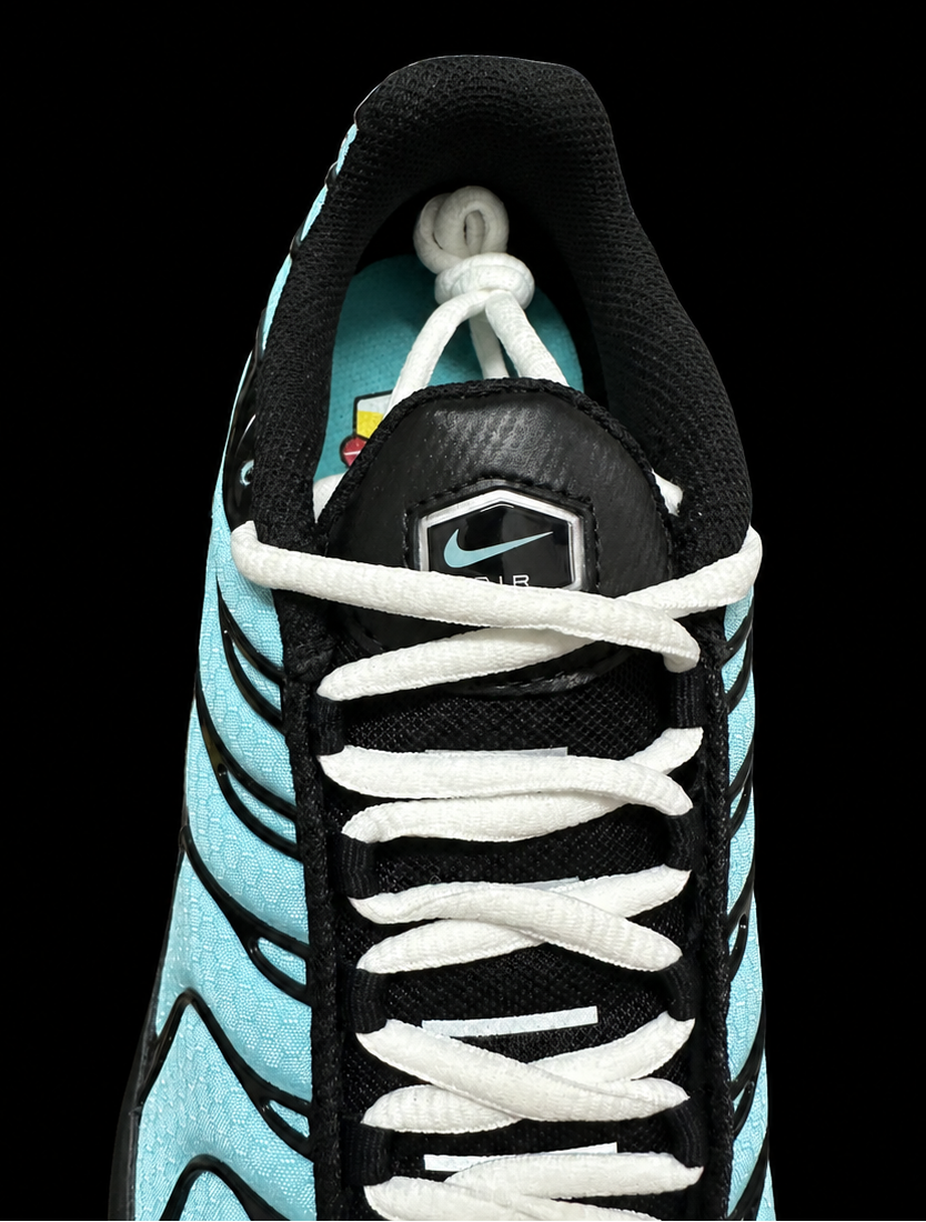 Nike Air Max Plus Aqua Blue Tiffany