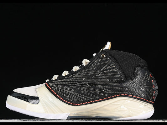 Titan x Jordan 23 Retro SP Black