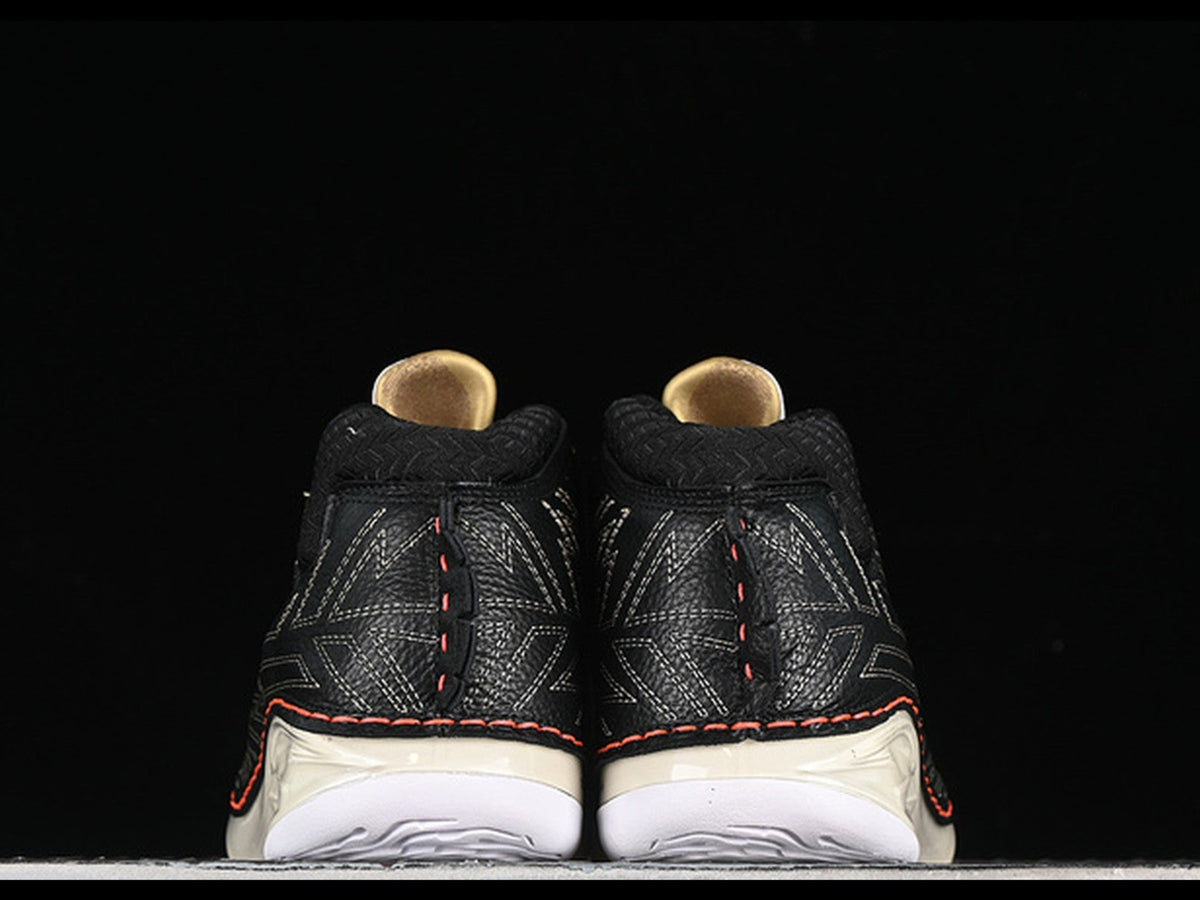 Titan x Jordan 23 Retro SP Black