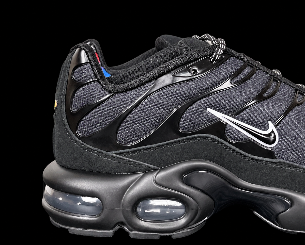 Nike Air Max Plus Unity Black Blue Red