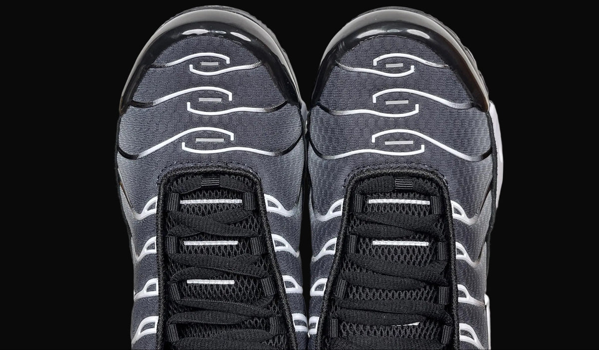 Nike Air Max Plus Black Metallic Silver