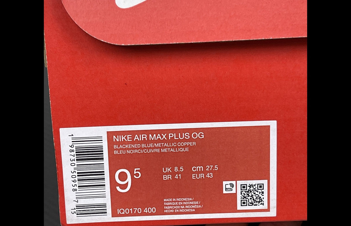 Nike Air Max Plus OG FFF France