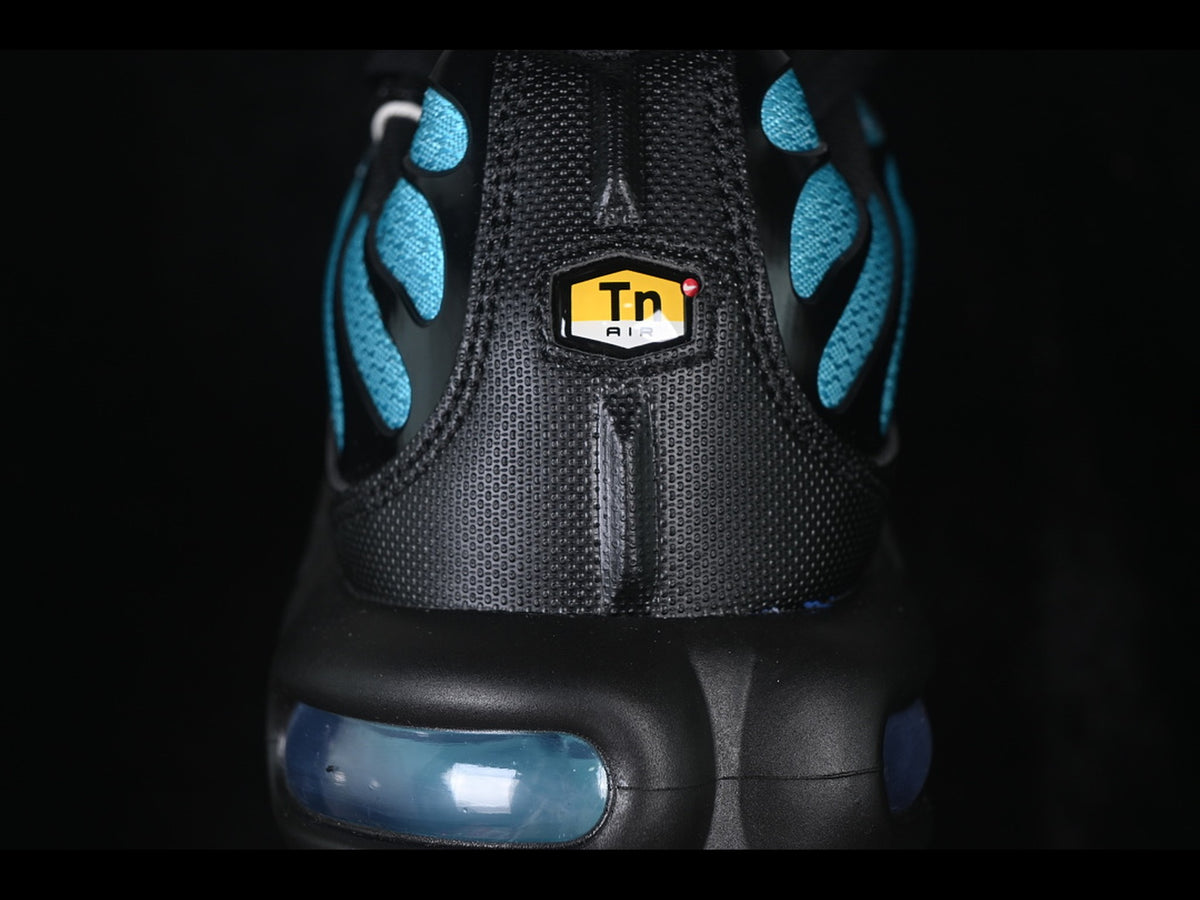 Nike Air Max Plus TN Black Dusty Cactus