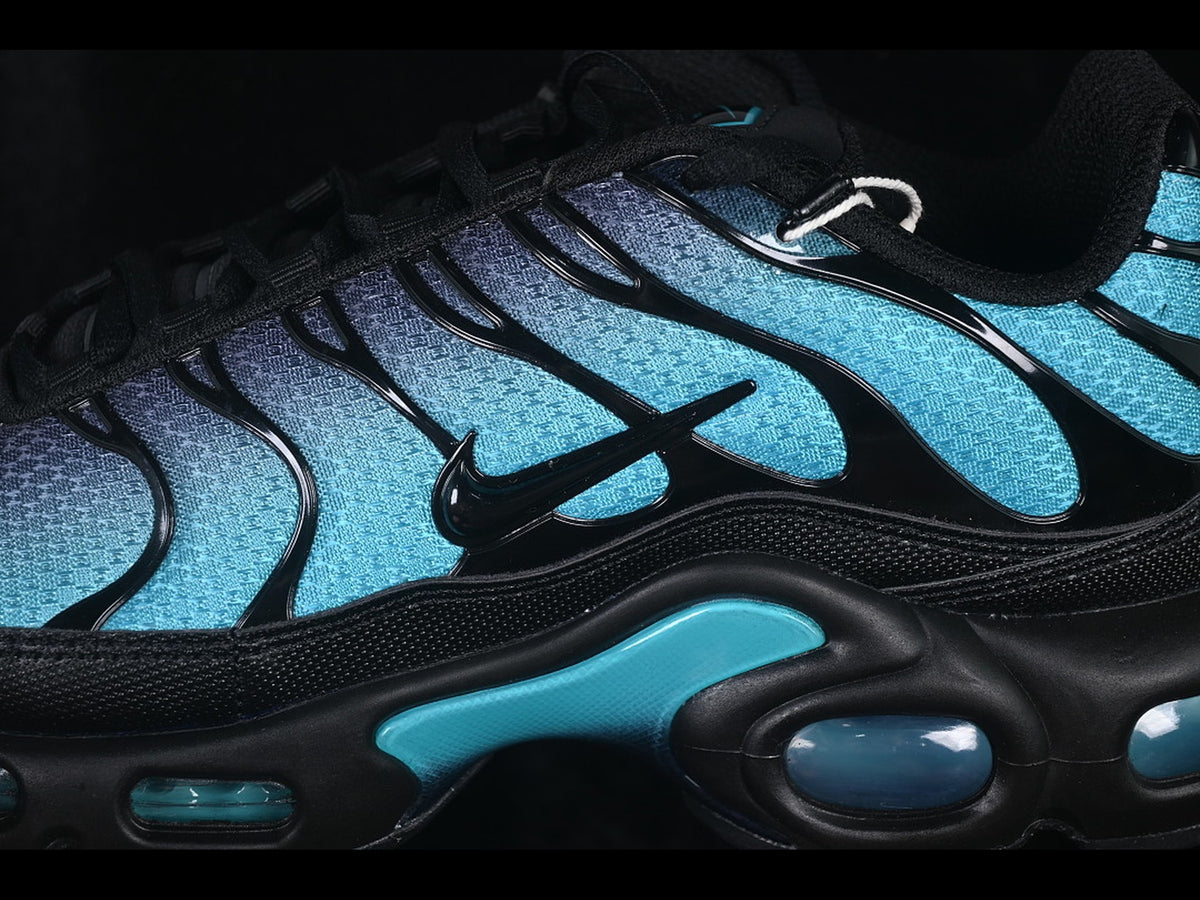 Nike Air Max Plus TN Black Dusty Cactus
