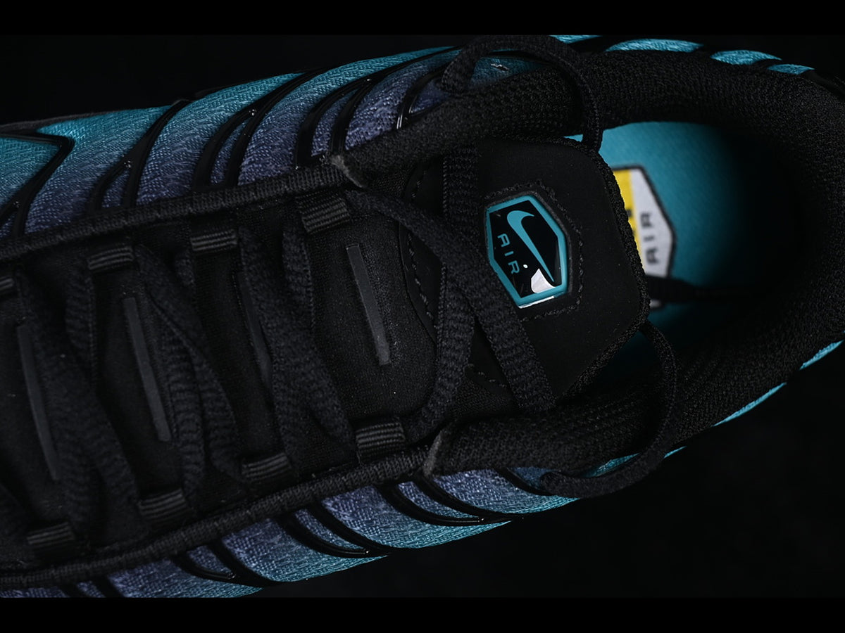 Nike Air Max Plus TN Black Dusty Cactus