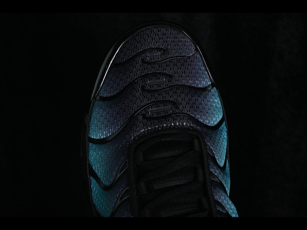 Nike Air Max Plus TN Black Dusty Cactus