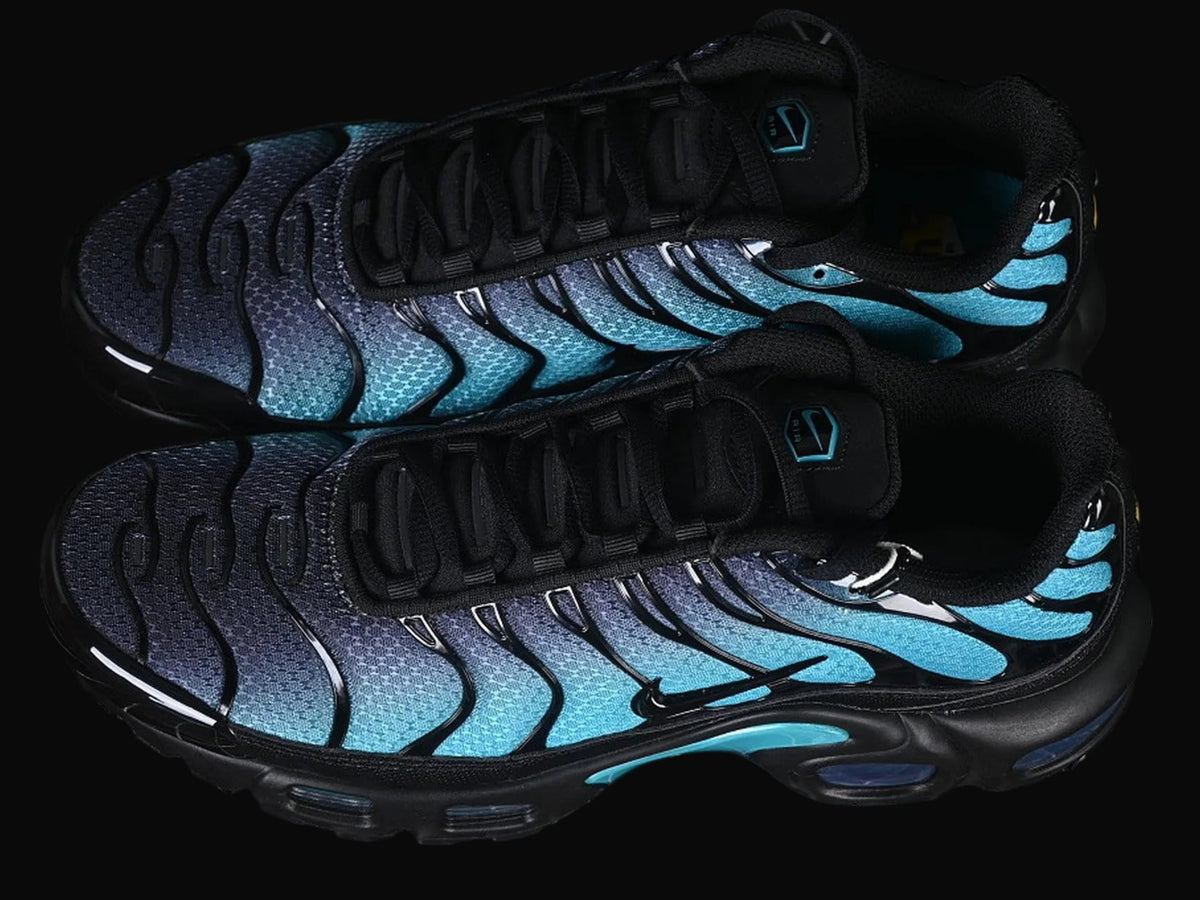 Nike Air Max Plus TN Black Dusty Cactus