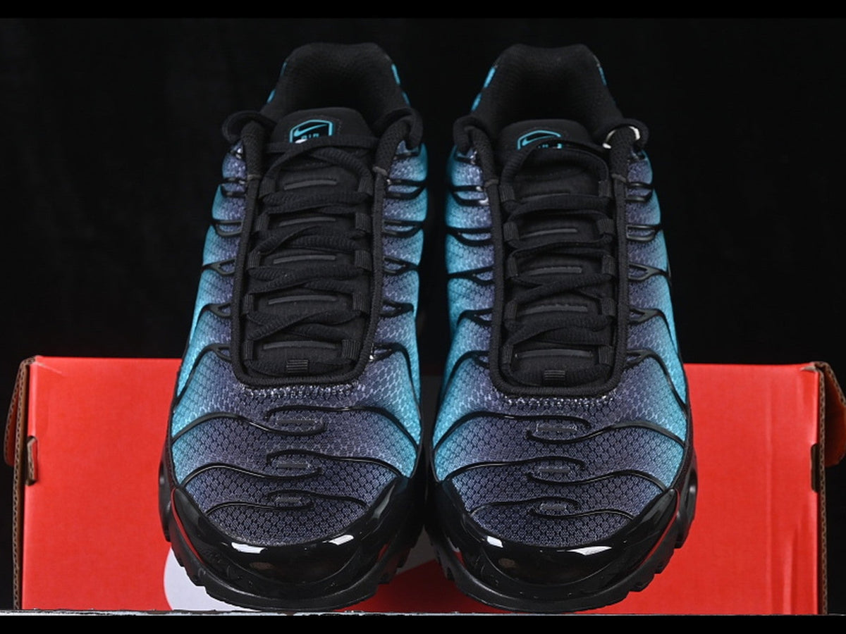 Nike Air Max Plus TN Black Dusty Cactus