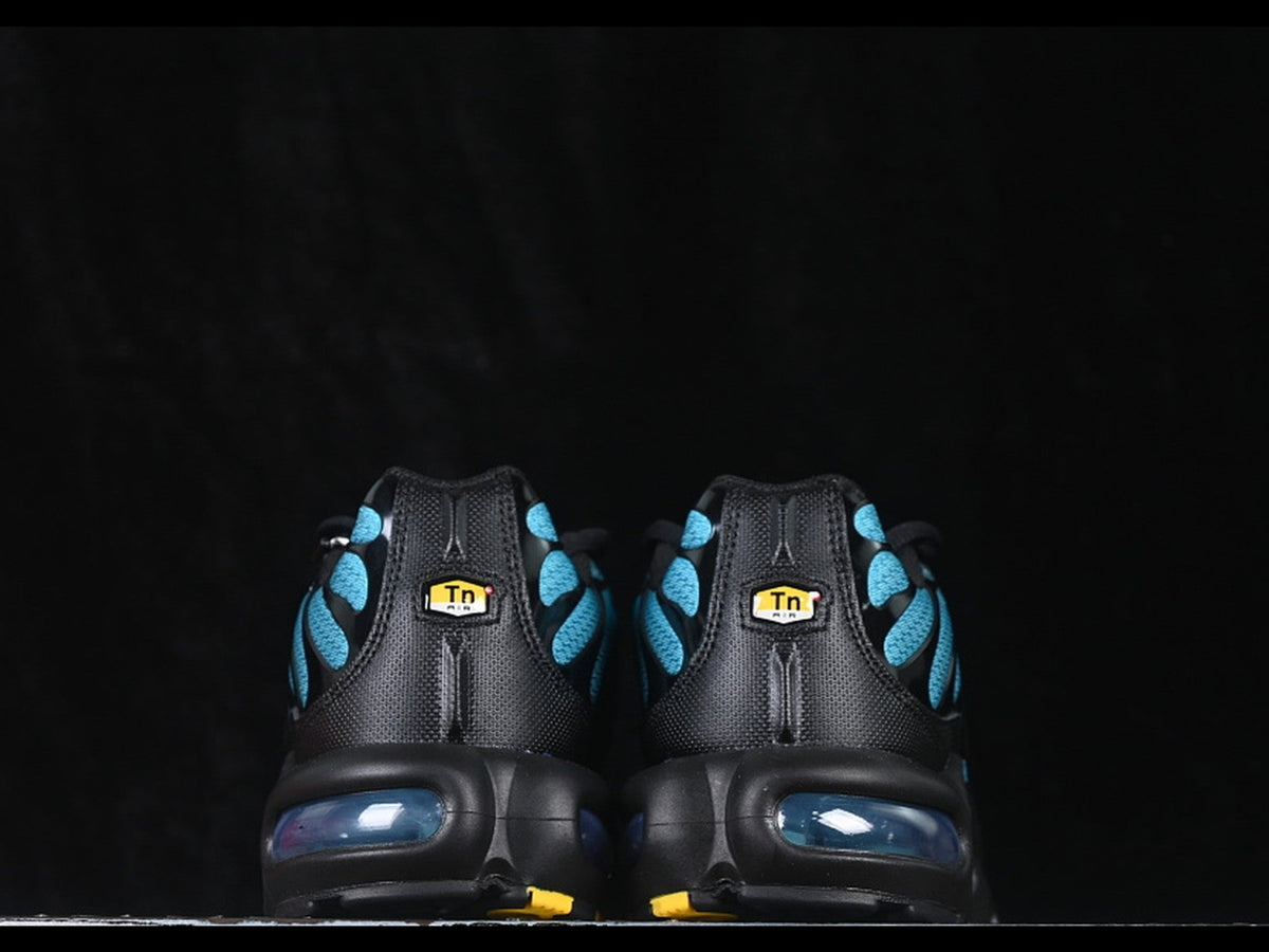 Nike Air Max Plus TN Black Dusty Cactus