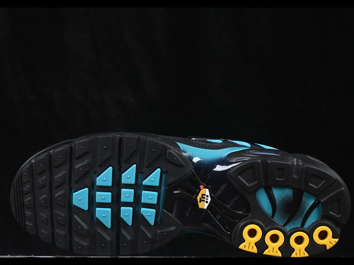 Nike Air Max Plus TN Black Dusty Cactus