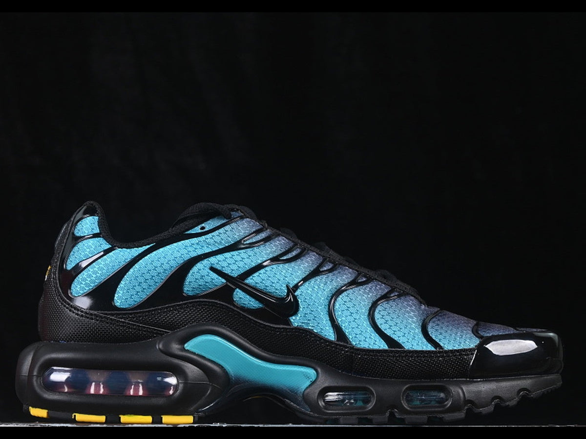 Nike Air Max Plus TN Black Dusty Cactus