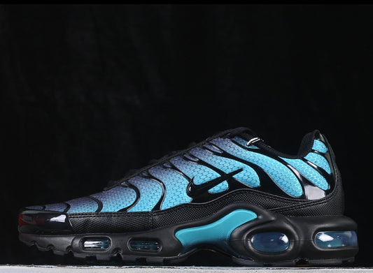 Nike Air Max Plus TN Black Dusty Cactus