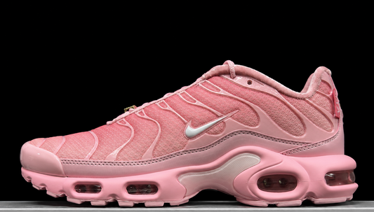 Nike Air Max Plus City Special ATL