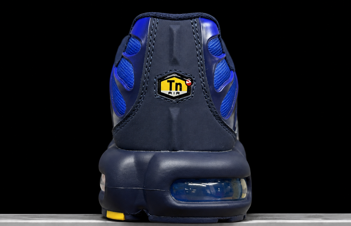 Nike Air Max Plus OG FFF France