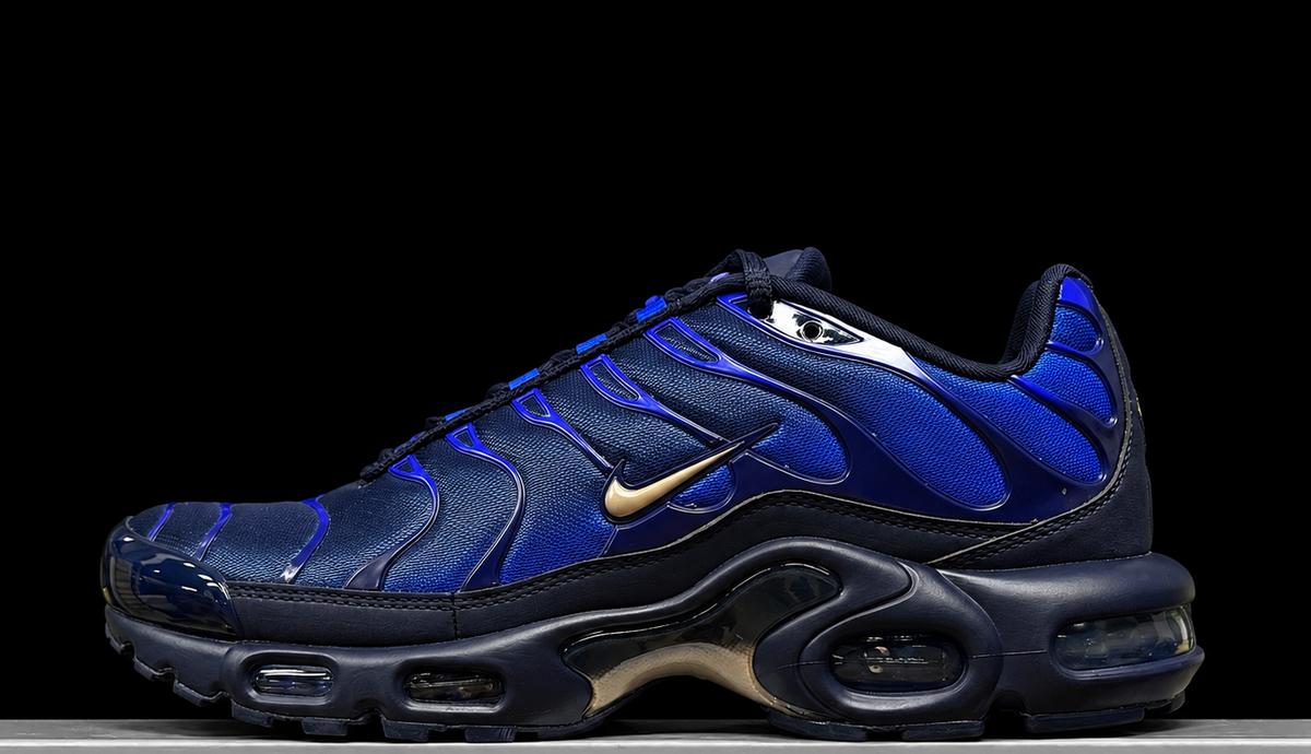 Nike Air Max Plus OG FFF France
