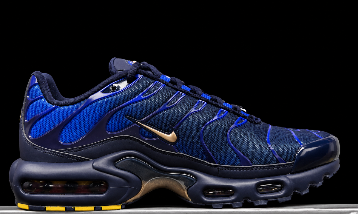 Nike Air Max Plus OG FFF France