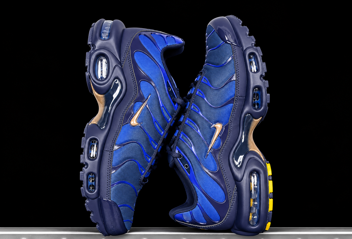 Nike Air Max Plus OG FFF France